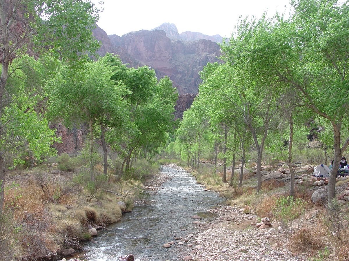 Phantom Ranch Tour Bright Angel Creek U.S. Geological Survey
